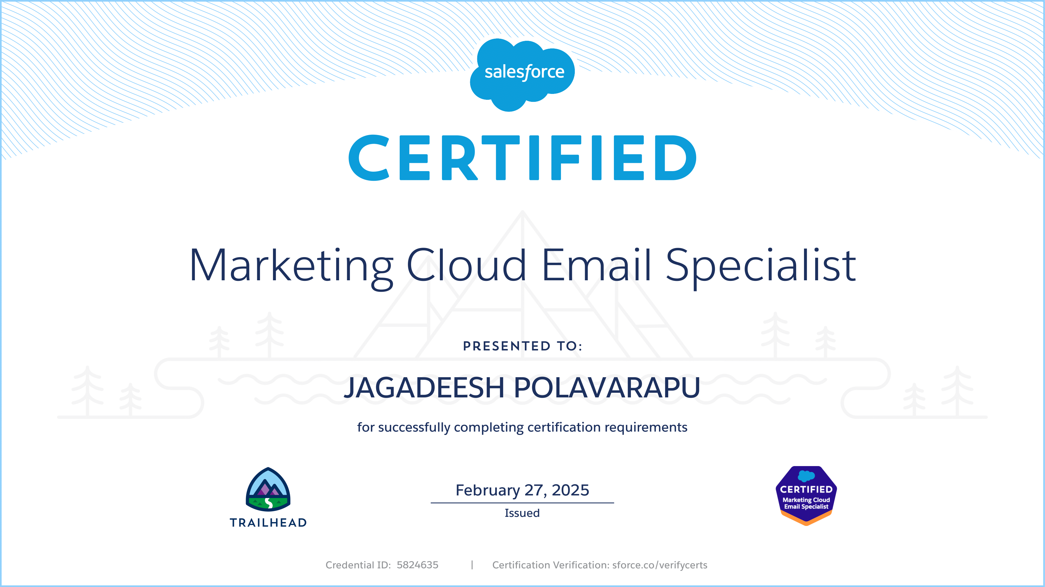 Salesforce Certificate Thumbnail